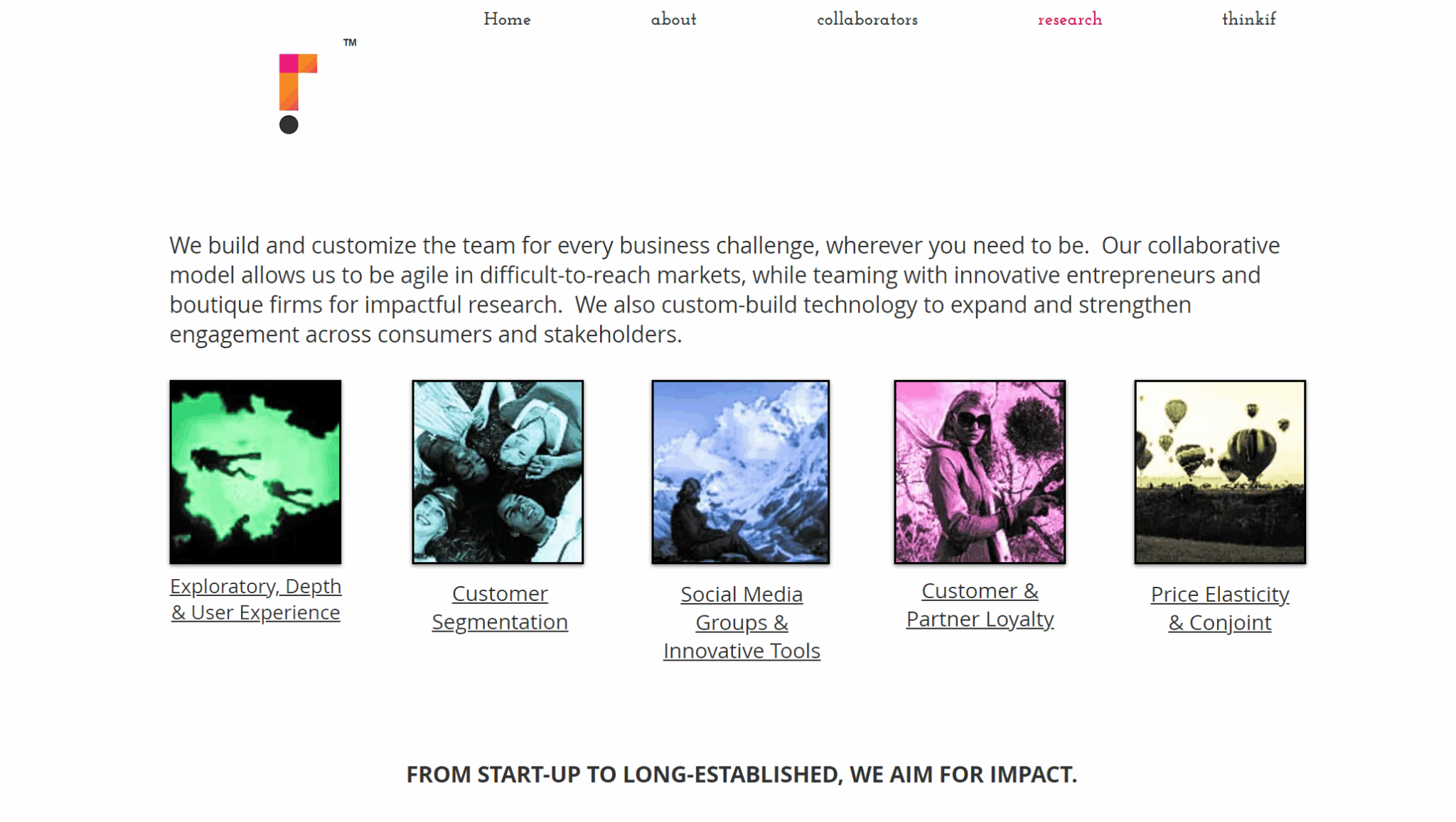 Incite Fusion consumer research