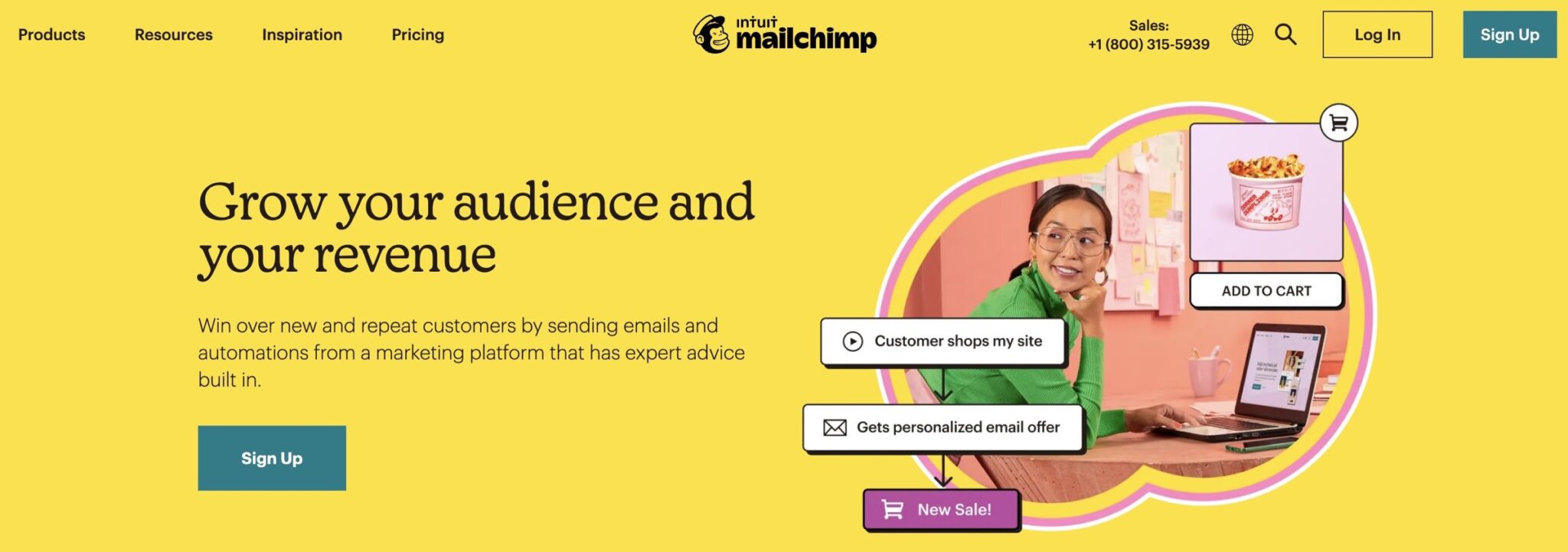 Mailchimp ecommerce marketing plaftorm