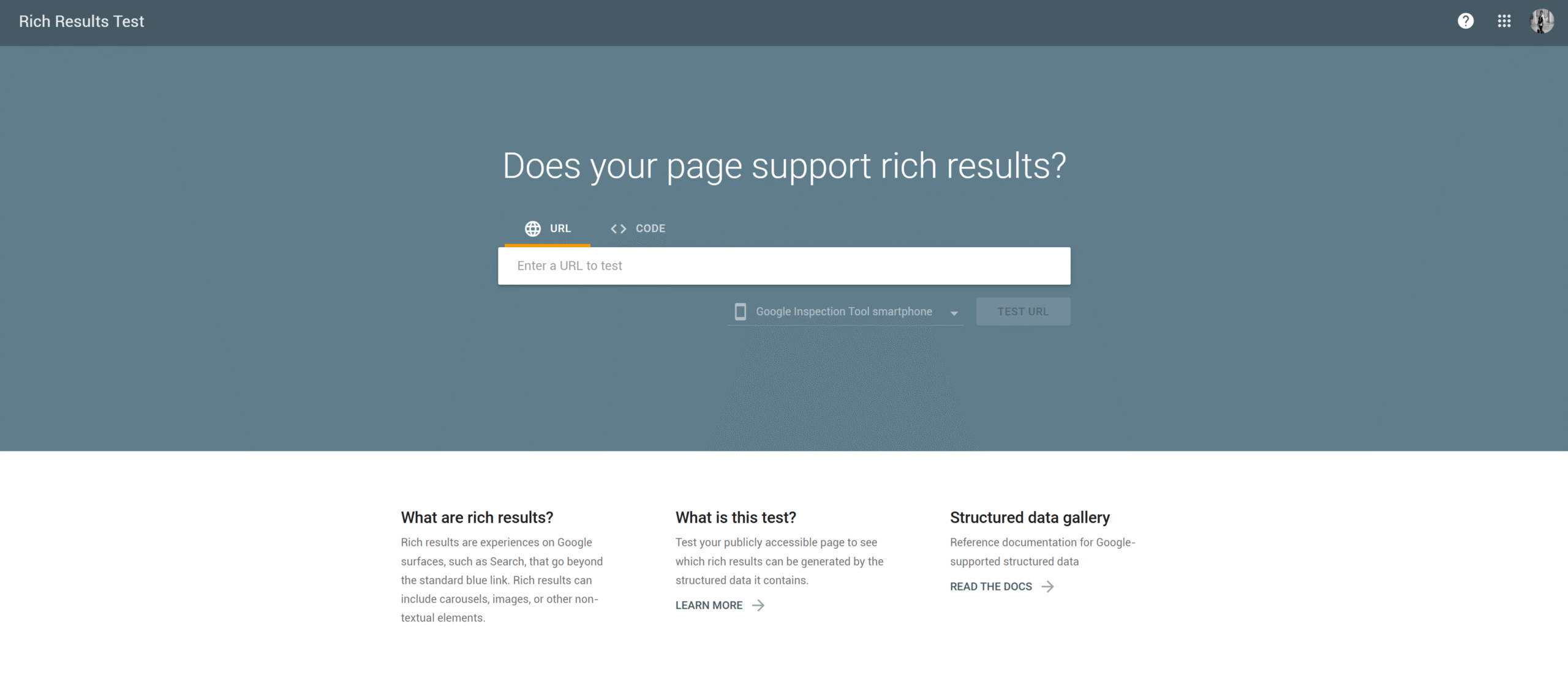 Google Rich Results Test: 'Does your page support rich results?' with a URL field and Test URL button