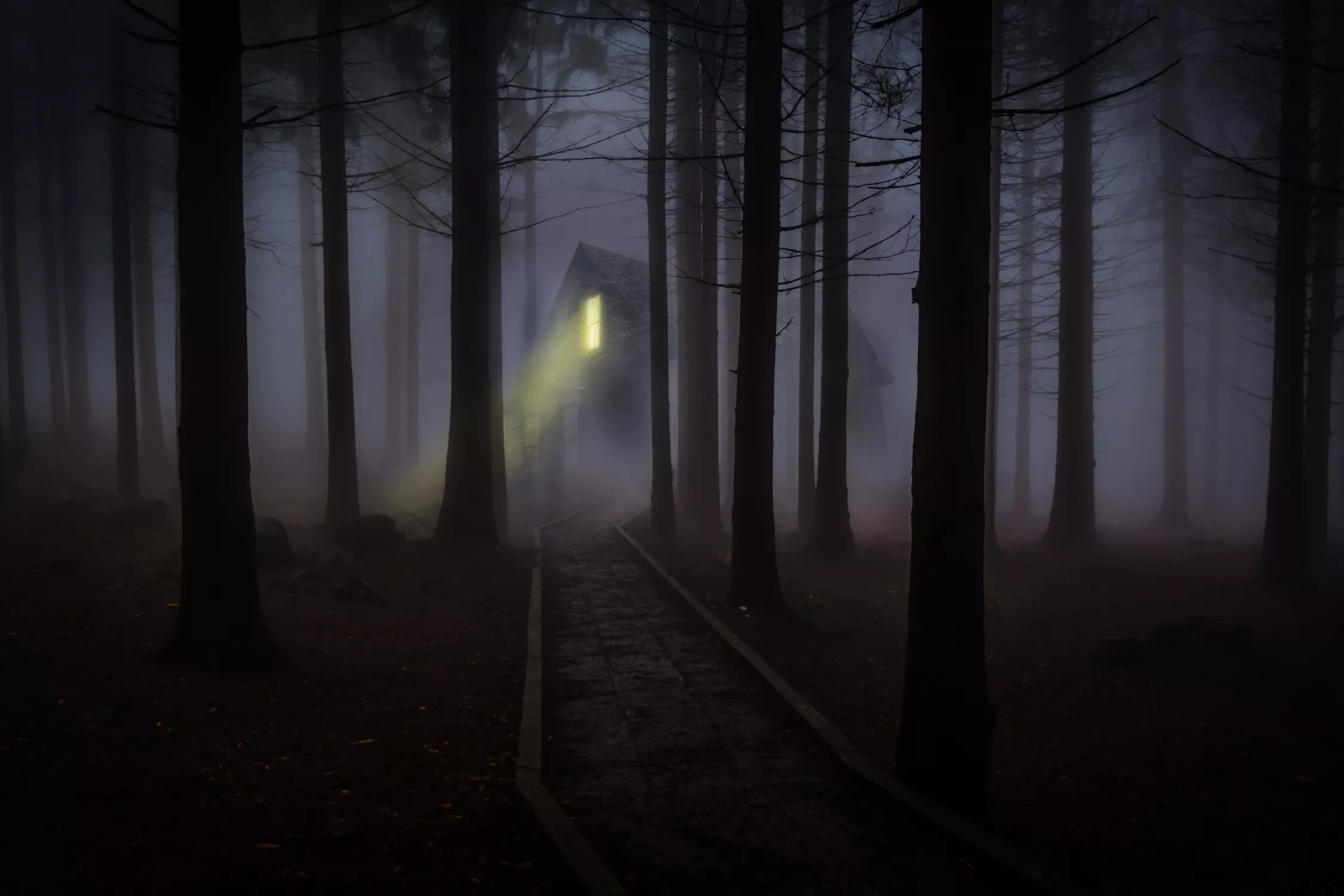 A house with one lit window in a foggy forest at dusk
